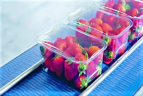 ILIP auf der Fruit Logistica: Nachhaltige Verpackungslösungen – Komplettangebot für frisches Obst und Gemüse