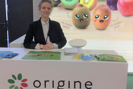 Origine Group erreicht 80% Umsatzsteigerung für italienische Sweeki-Kiwi