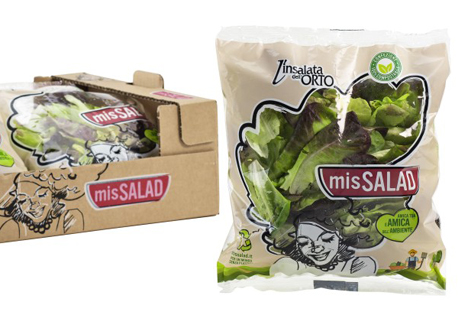 Im Spotlight: Umweltfreundliche Salat-Kollektion