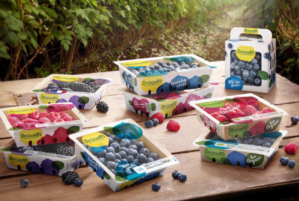 Plastikarmer Schutz für Beeren