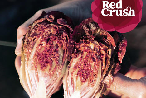 Fruit Logistica: Fokus auf die Nominierten des Innovation Awards 2022 - Red Crush®