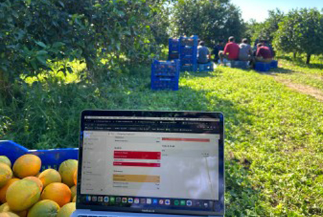 Fruit Logistica 2024 Spotlight: Zitrusgenuss in Bio-Qualität