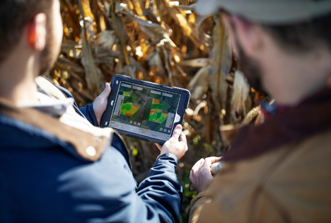 Climate Change and Agriculture. Foto © Bayer AG