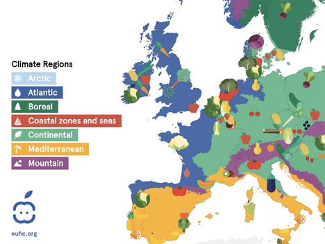 Bild © European Food Information Council