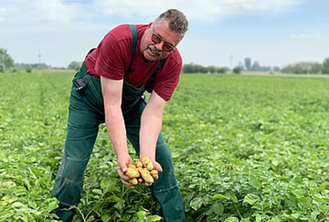 Die allerersten 'Pfälzer Grumbeere' der neuen Saison geerntet
