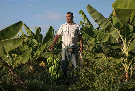 Foto ©  Ángela Ponce | Fairtrade | Fairpicture