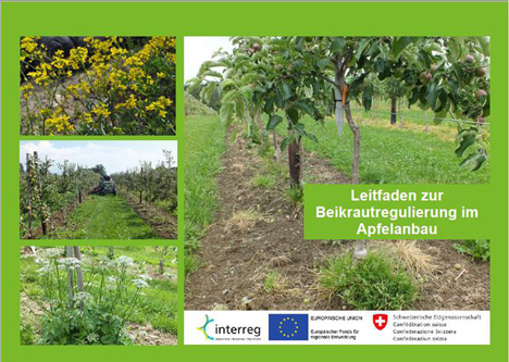Titelbild 'Leitfaden zur Beikrautregulierung im Apfelanbau. Foto © HSWT