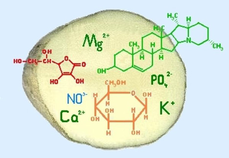 Inhaltsstoffe; Graphische Darstellung einer Kartoffel mit den Formeln der Inhaltsstoffe. Foto © LfL