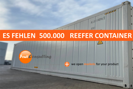 Warnungen der Containerhersteller in China avisieren eine kritische Situation für den internationalen Fruchthandel