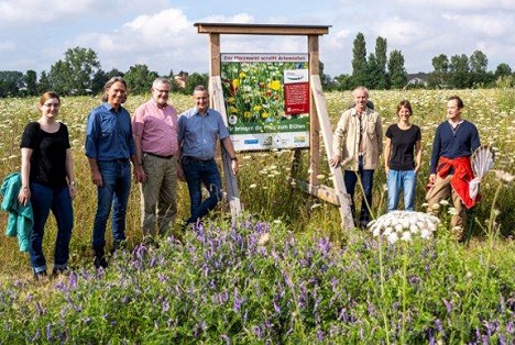Projekterfolg: Nach 64 Jahren wurde die Grubenhummel in Rheinland-Pfalz bei Mutterstadt wiederentdeckt