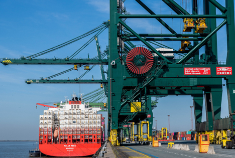 Kühlcontainerverkehr in Hafen von Antwerpen erfreut sich weiteren Wachstums