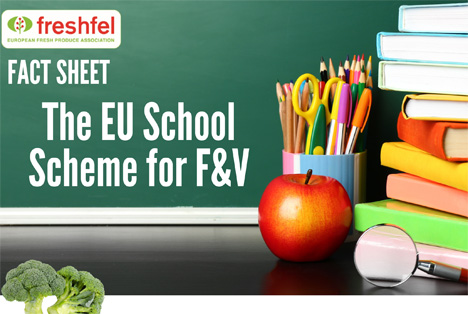 Freshfel Europe: Der Wert des Europäischen Schulprogramms für die Zukunft