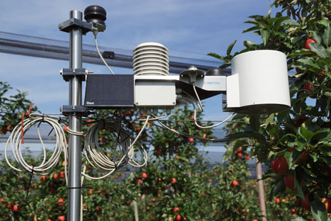 Die Wetterstation liefert Daten für die Behandlungsprognose. (mg) Foto © LID