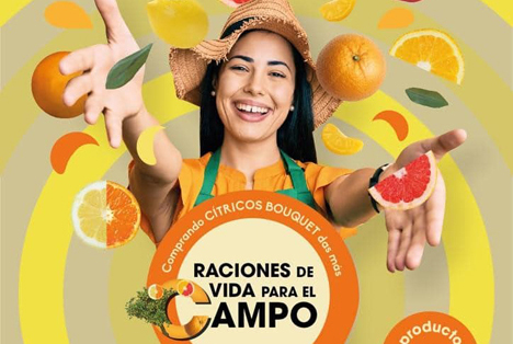 Spanien: Anecoop regt Konsum nationaler Zitrusfrüchte an