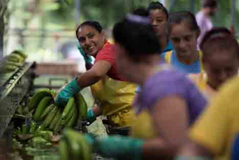 Fyffes setzt sich gegen geschlechtsspezifische Gewalt am Internationalen Frauentag ein