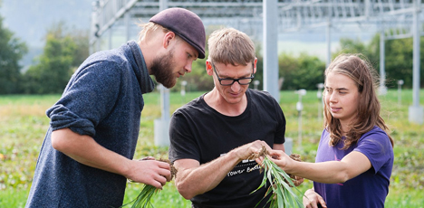 Foto © Demeter Netzwerk Biodynamische Bildung/heggelbach