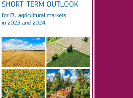 Cover Short-Term Outlook © EU