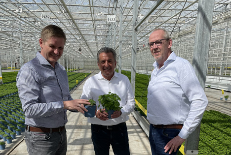 Landtagspräsident Dr. Gunnar Schellenberger besucht Hightech-Gewächshaus bei Magdeburg