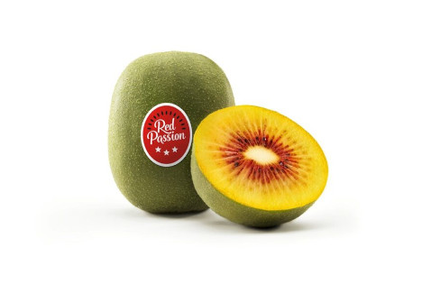 Oppy bringt Red-Passion-Kiwi aus Italien und Griechenland auf den nordamerikanischen Markt