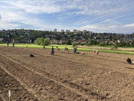 „Es gibt keine Fehler beim Gärtnern, nur Experimente.“ Foto © tegut