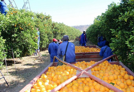 Foto © Chinesische Botschaft in Simbabwe