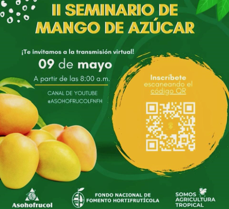 Die Vorbereitungen für das II. Seminar über Zuckermango in Kolumbien werden abgeschlossen