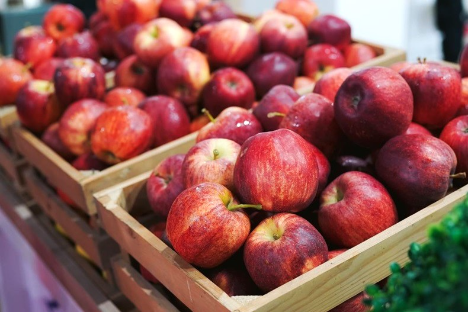 Äpfel für den Planeten: Wie schützt der Konsum europäischer Früchte die Umwelt?