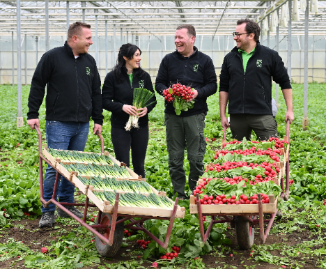 Bei den Frühstartern aus der Pfalz liefern sich aktuell Bundzwiebeln und Radieschen ein Kopf-an-Kopf-Rennen!