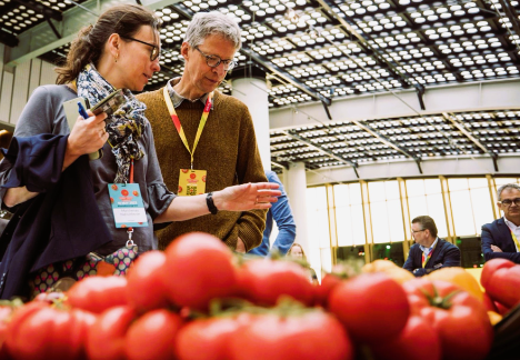 Global Tomato Congress