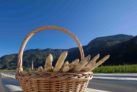 Früher Erntestart für das fürstliche Gemüse mit Qualitätszeichen Südtirol