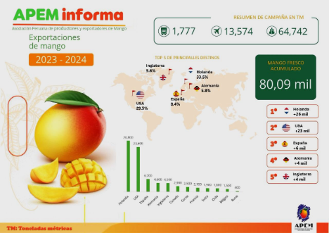 Die USA und Europa sind die wichtigsten Märkte für die Saison 2023/2024 für peruanische Mangos