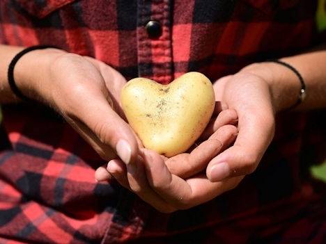 Kaufland festigt Bekenntnis zur deutschen Landwirtschaft