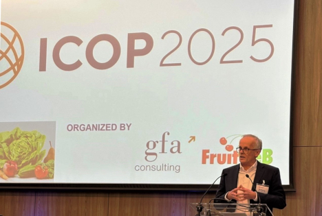 „Obst- und Gemüsebranche: Ein Überlebenskünstler – sie wird auch diesen Wandel überstehen“