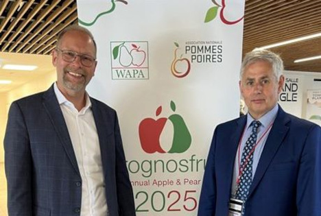 BVEO richtet Jubiläums-Prognosfruit 2026 in Deutschland aus