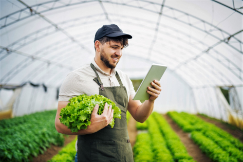 B.i.Team: Transparenz durch Technologie im Fruchthandel