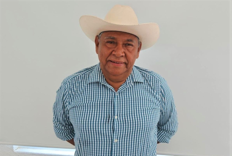 Kleine mexikanische Mangoproduzenten streben eine bessere Positionierung auf den internationalen Märkten an