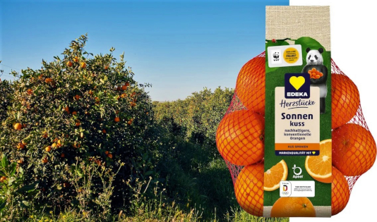 Zitrusanbau in Spanien: EDEKA und WWF feiern 10 Jahre Zusammenarbeit