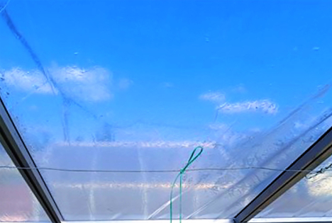 expoSE 2025: Intelligente Lichtsteuerung mit Gewächshausfolien