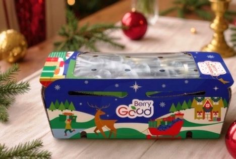 Berry Christmas von Hortifrut: Blaubeeren in weihnachtlicher Verpackung – komplett plastikfrei
