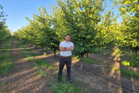 Chilenische Pflaumen: Produktion steigt voraussichtlich um 20% zwischen 2025 und 2030