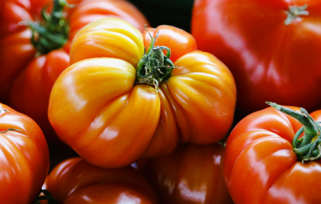 Schweiz: Tomaten - Beliebt in allen Küchen