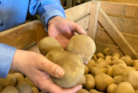 Landvolk: Unwucht bei Agrarpreisen und Marktverzerrungen