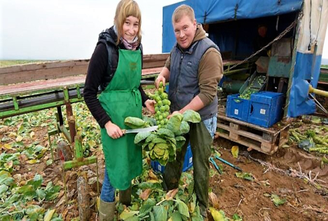 Landvolk: Wintergemüse wärmt Leib und Seele