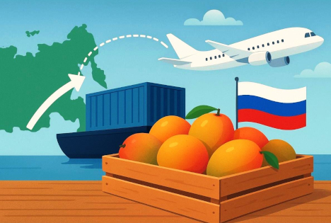 Überlegungen und Reflexionen zum Export von Mangos nach Russland