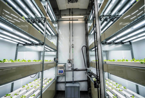 Hochschule Osnabrück: Materialanalyse für sichere Hydroponik