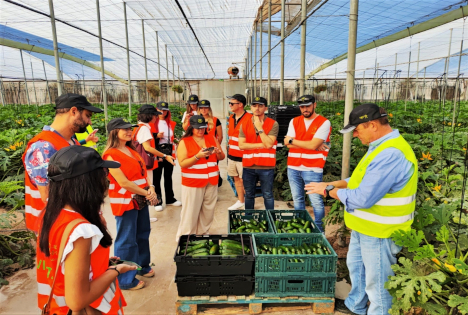 Deutsche Influencer besuchen Europas Zentrum für Obst und Gemüse