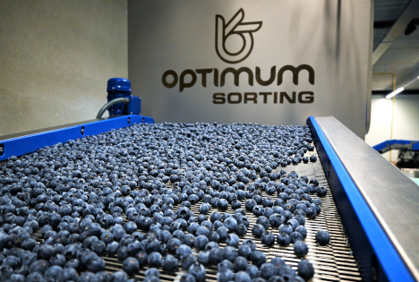 expoSE 2025: Sortiermaschine Magnus für das Sortieren empfindlicher Früchte