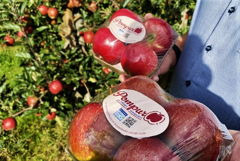 BLE: Von der Forschung in den Handel – allergikerfreundliche Äpfel erhältlich