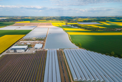expoSE 2025: Tunnel aus ovalen Rohren für hohe Traglast und langfristige Stabilität