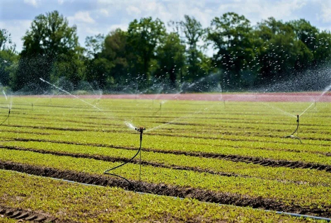 QS: Klimaplattform Obst-, Gemüse- und Kartoffelanbau - Der Rahmen für die Berechnung steht